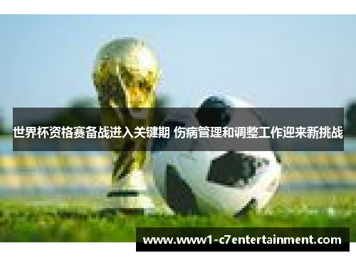 世界杯资格赛备战进入关键期 伤病管理和调整工作迎来新挑战